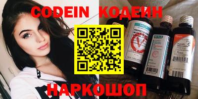 МДПВ Кингисепп