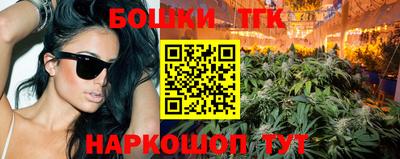 МДПВ Кингисепп