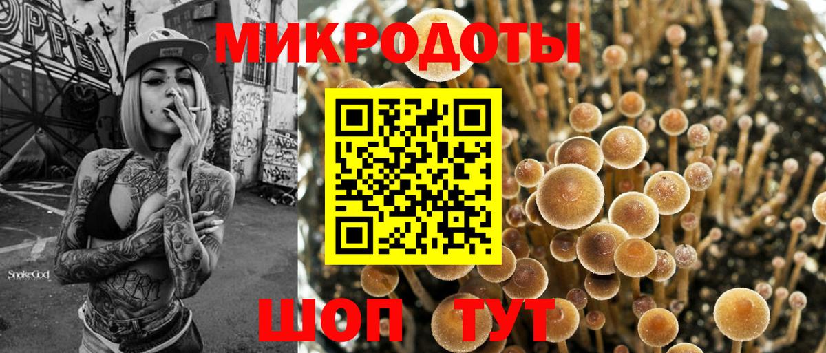 Галлюциногенные грибы Psilocybine cubensis  даркнет сайт  Минеральные Воды  Вход с VPN  Галлюциногенные грибы прущие грибы 