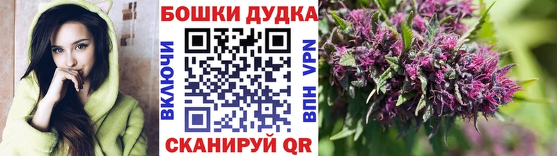 где купить наркотик  Минеральные Воды  Бошки марихуана план 
